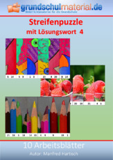 Streifenpuzzle mit Lösungswort_4.pdf